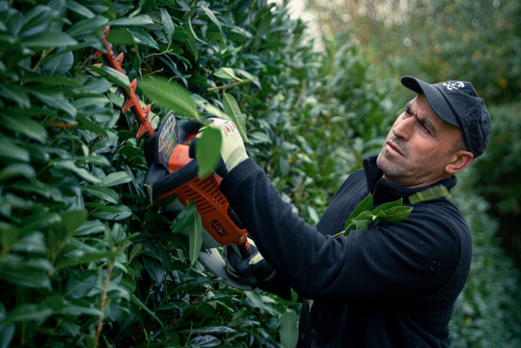 Gartenpflege Waldkirch | Hochwertiger Service vom Kandelgärtner